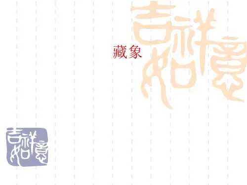 藏象五脏课件