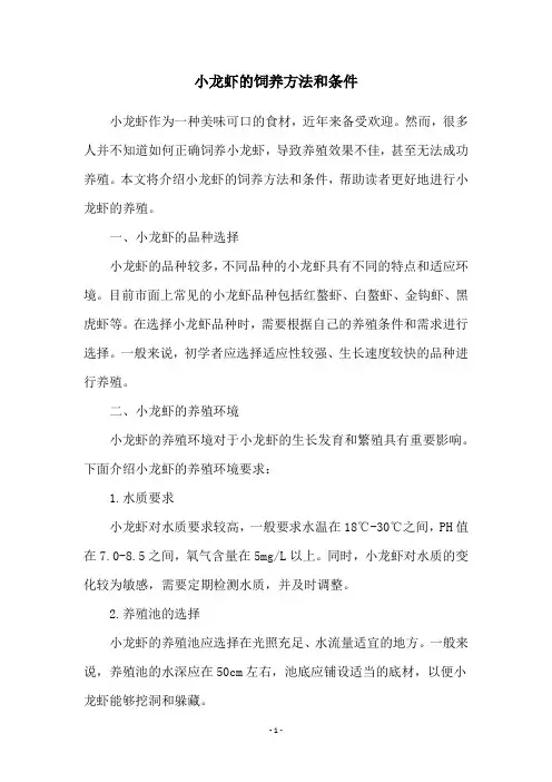 小龙虾的饲养方法和条件
