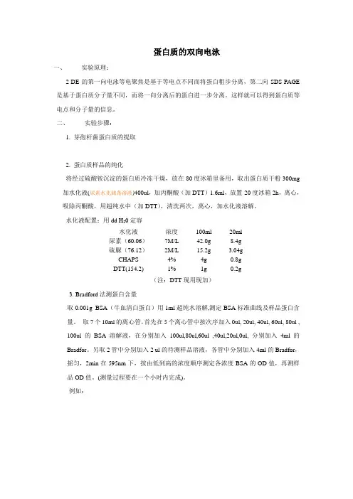 双向电泳详细操作过程