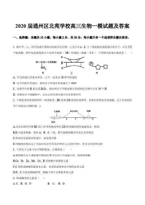 2020届通州区北苑学校高三生物一模试题及答案