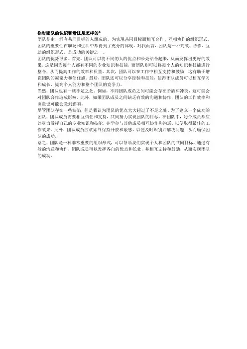 你对团队的认识和看法是怎样的