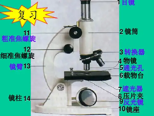冀少版生物七年级上册第一单元第一章第二节 学会观察 课件 (1)