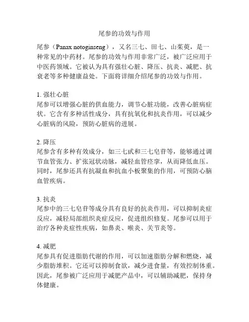 尾参的功效与作用