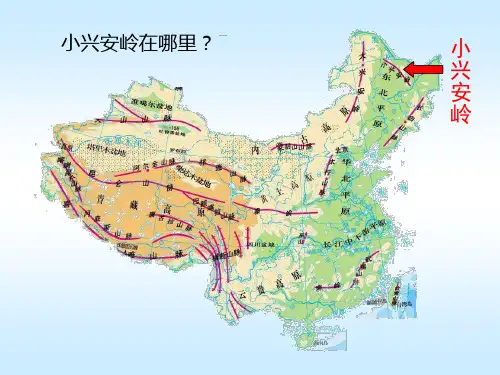 23美丽的小兴安岭ppt课件[精选文档]