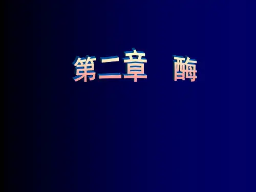 酶的概念.