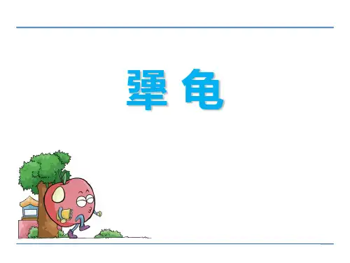 《犟龟》(ppt)课件