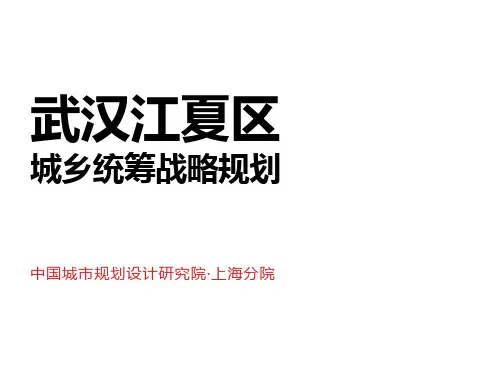武汉江夏区战略规划(中规院)简本