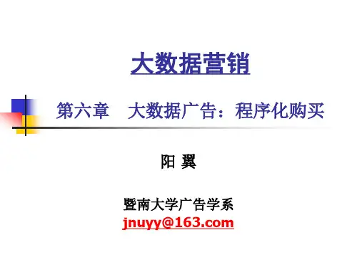 第六章 大数据广告：程序化购买[46页]