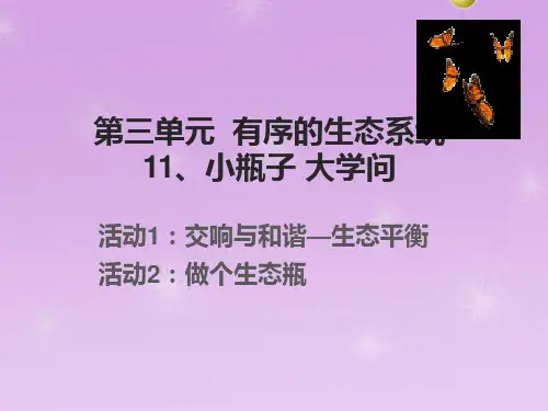 六年级科学下册_11小瓶子大学问25冀人版9张精品课件
