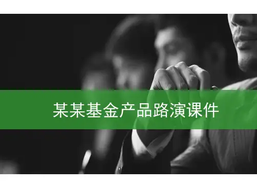某证券投资基金路演PPT