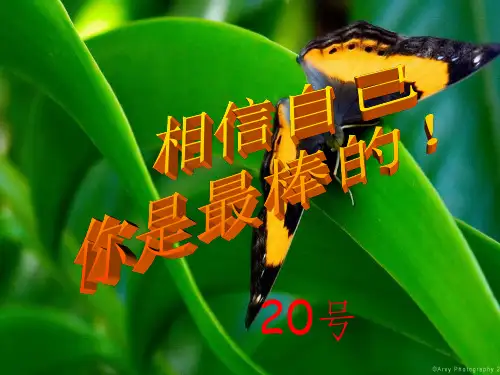 圆锥的侧面积和全面积-完整ppt课件