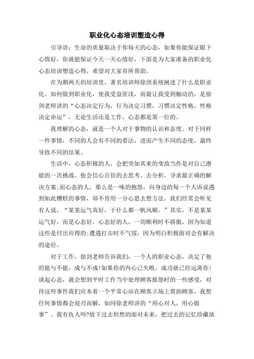 职业化心态培训塑造心得