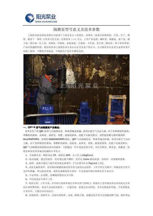 隔膜泵型号意义及技术参数