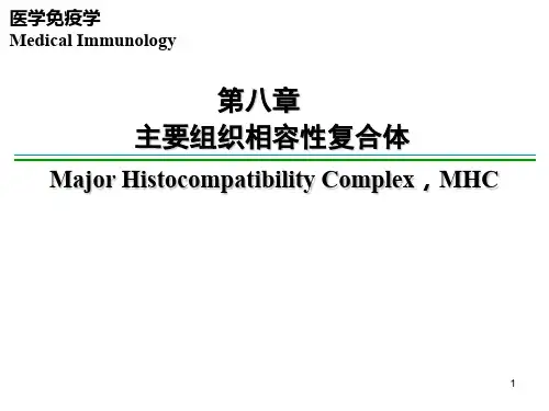 医学免疫学-第八章 主要组织相容性复合体