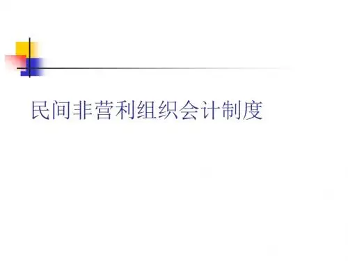 民间非营利组织会计制度