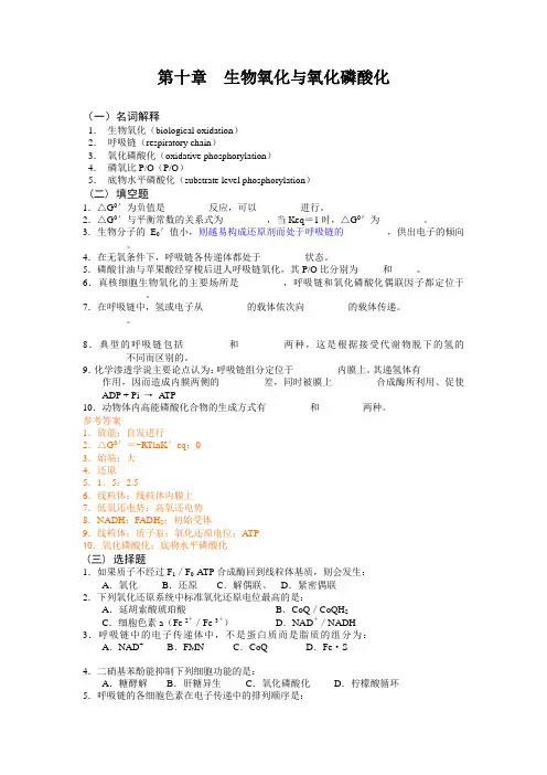 10 生物氧化与氧化磷酸化