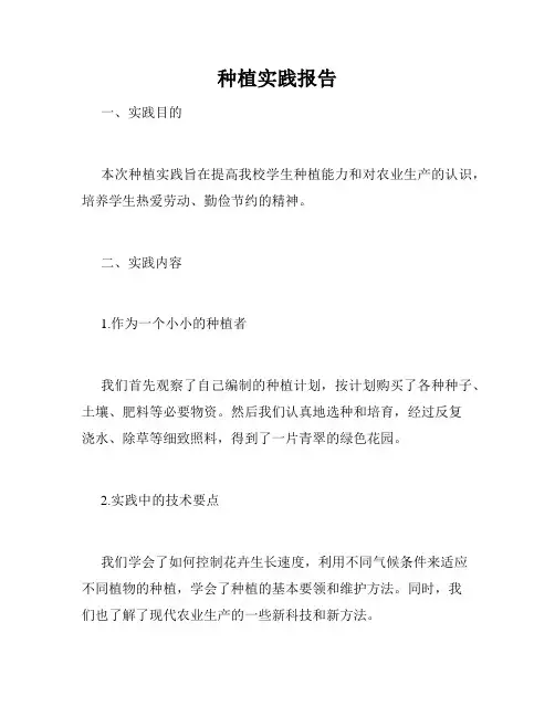 种植实践报告