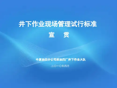 井下作业现场管理试行标准