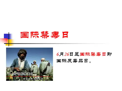 国际禁毒日主题宣传