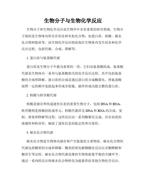 生物分子与生物化学反应