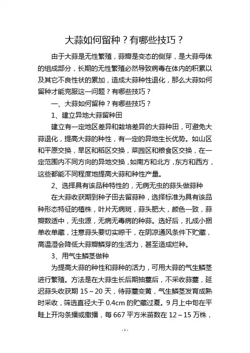 大蒜如何留种？有哪些技巧？
