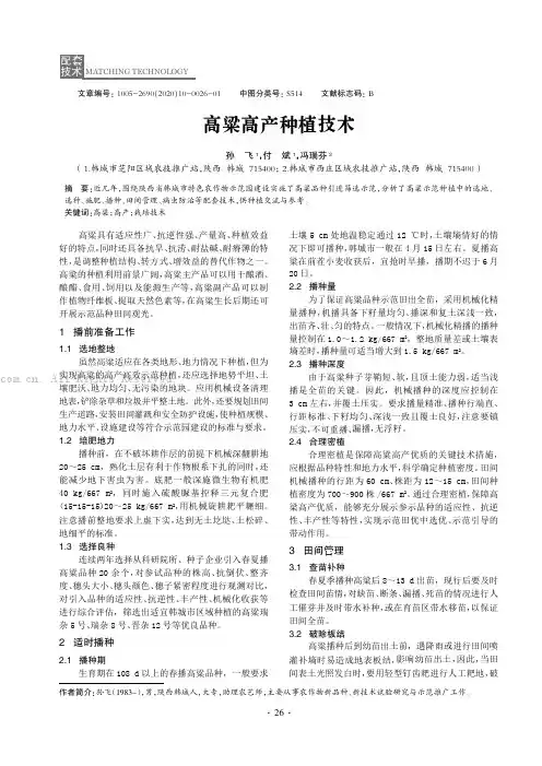 高粱高产种植技术