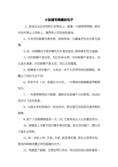小说描写眼睛的句子