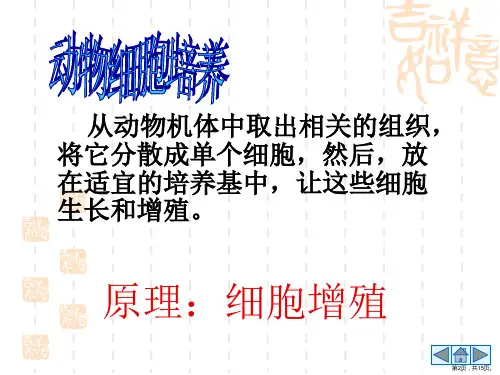 专题2动物细胞工程课件