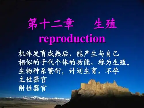 第12章 生殖