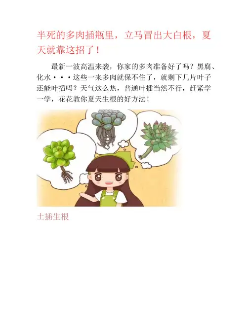 半死的多肉插瓶里,立马冒出大白根,夏天就靠这招了!-养花技巧