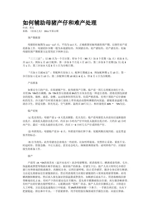 如何辅助母猪产仔和难产处理