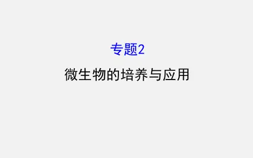 高考生物 一轮复习 专题2 微生物的培养与应用 新人教版选修1