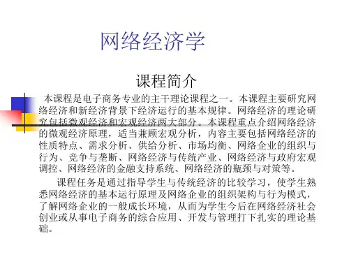 网络经济与网络经济学