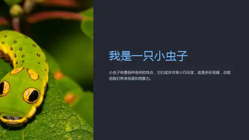 二年级语文下册11.我是一只小虫子公开课课件