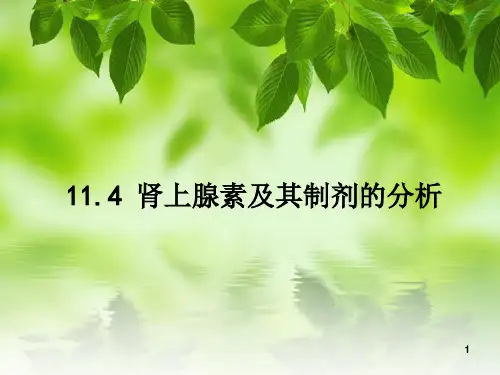 11-4肾上腺素幻灯片