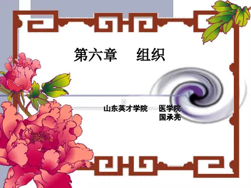 护理管理学课件第6章 组织