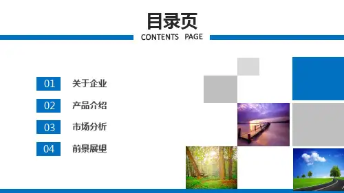 蓝色公司介绍产品宣传板PPT