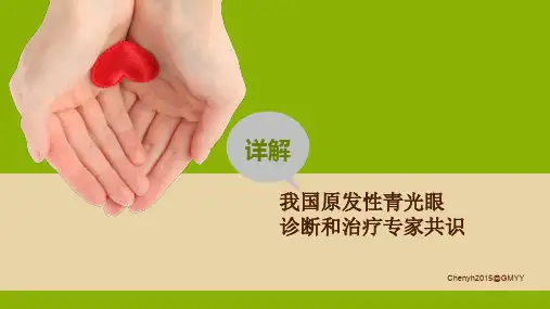 青光眼专家共识ppt课件