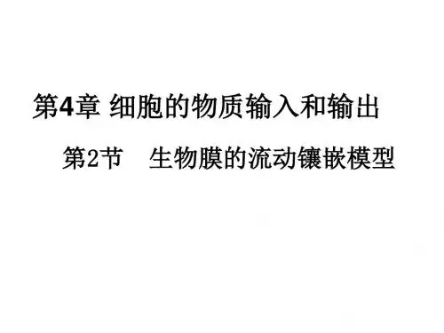 中学联盟广东省广州市培才高级中学高中生物必修一《4.2 生物膜的流动镶嵌模型》课件 (共32张PPT)