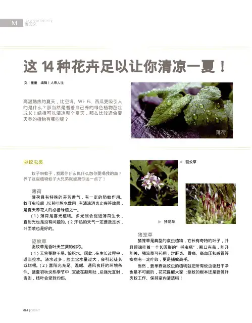 这14种花卉足以让你清凉一夏.