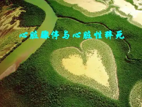 心脏骤停与心肺复苏ppt课件