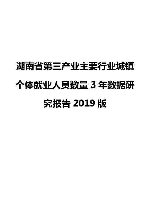 湖南省第三产业主要行业城镇个体就业人员数量3年数据研究报告2019版