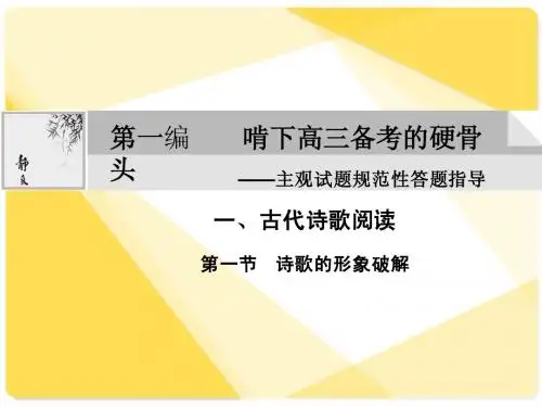 高考语文复习25：说阅读 探究类考题破解