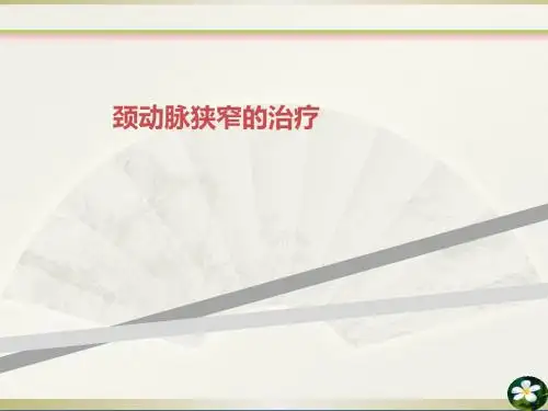 颈动脉狭窄的治疗