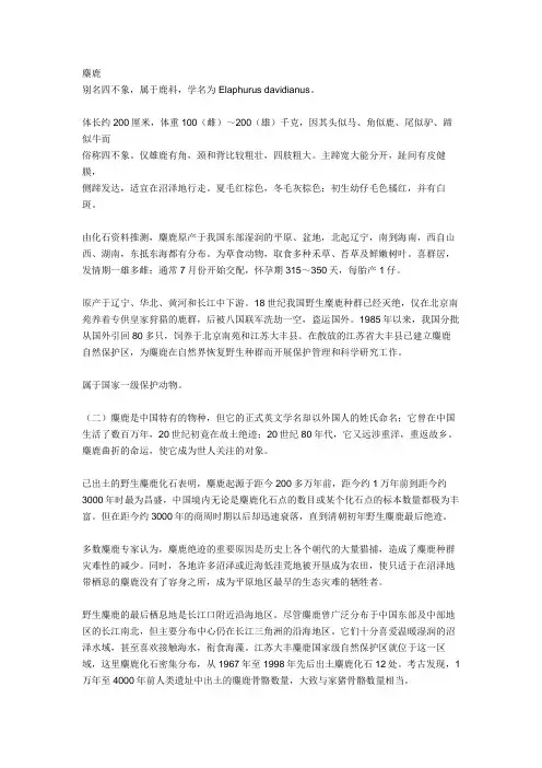 麋鹿