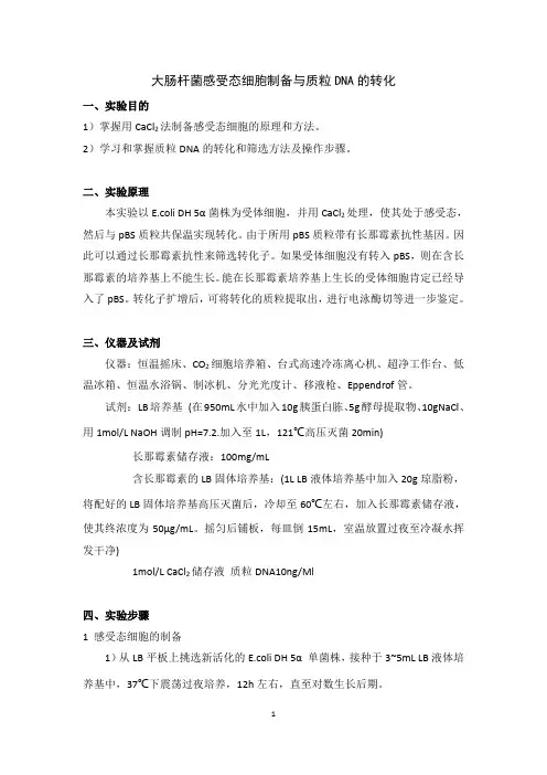 大肠杆菌实验
