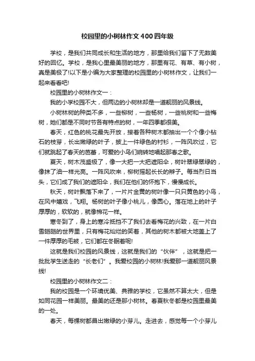 校园里的小树林作文400四年级