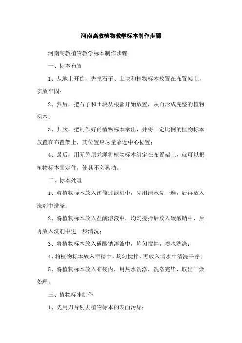 河南高教植物教学标本制作步骤