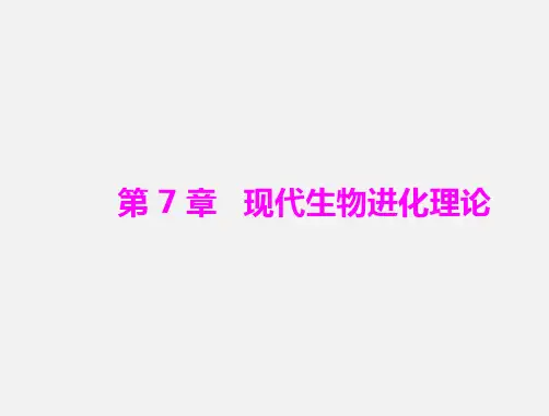 高考生物 一轮复习 第7章 现代生物进化理论的由来和主要内容 新人教版必修2