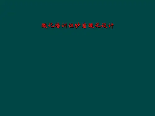 酸化培训班砂岩酸化设计